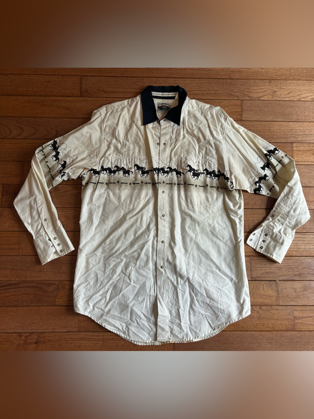 Western vintage button up